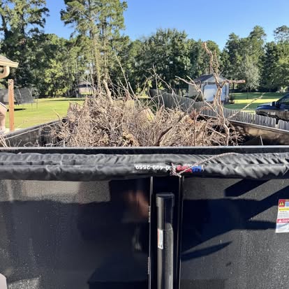 Dumpster rental in Conroe, TX